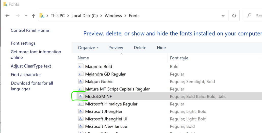 Windows font folder missing Meslo font